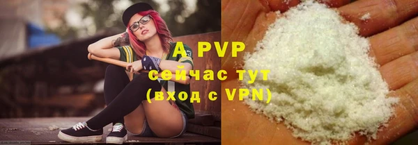 стафф Гусиноозёрск