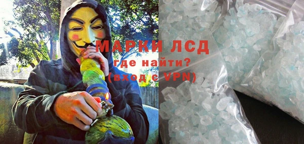 спиды Гусев
