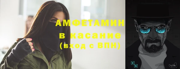 прущие грибы Ладушкин