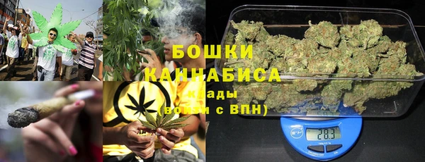 стафф Гусиноозёрск