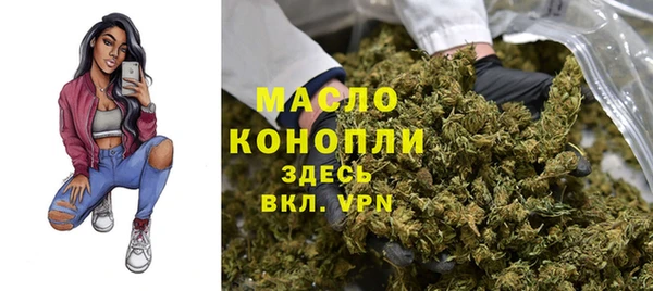 спиды Гусев