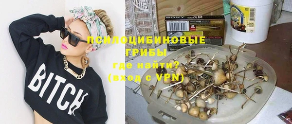 спиды Гусев