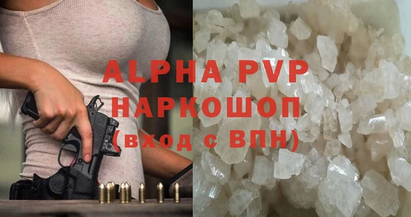 стафф Гусиноозёрск
