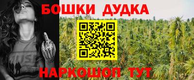 ПСИЛОЦИБИНОВЫЕ ГРИБЫ Дубна