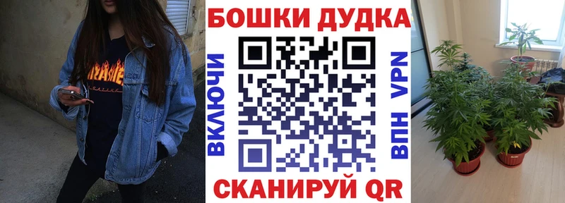 магазин  наркотиков  Острогожск  МАРИХУАНА планчик 